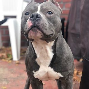 Meet your Posher, Bryan